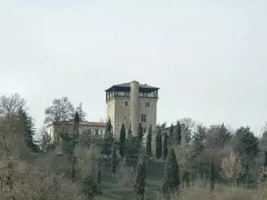 Chateau de Roquefort